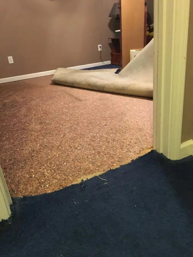 Carpet pad removal revealing water damage during Water Mitigation Services in Schodack