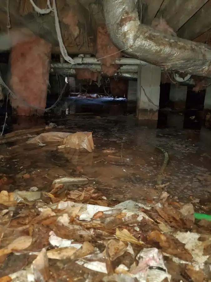 Crawl space flood assessment for Leak Detection & Repair in Schodack