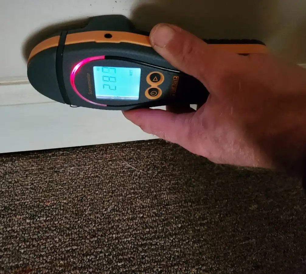 Moisture detection at baseboard during Sewage Cleanup & Sanitation in Schodack